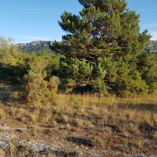  HCI IMMOBILIER : Ground | PLAN-D'AUPS-SAINTE-BAUME (83640) | 0 m2 | 165 000 € 