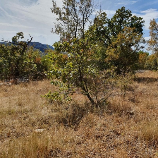  HCI IMMOBILIER : Terrain | PLAN-D'AUPS-SAINTE-BAUME (83640) | 0 m2 | 155 000 € 