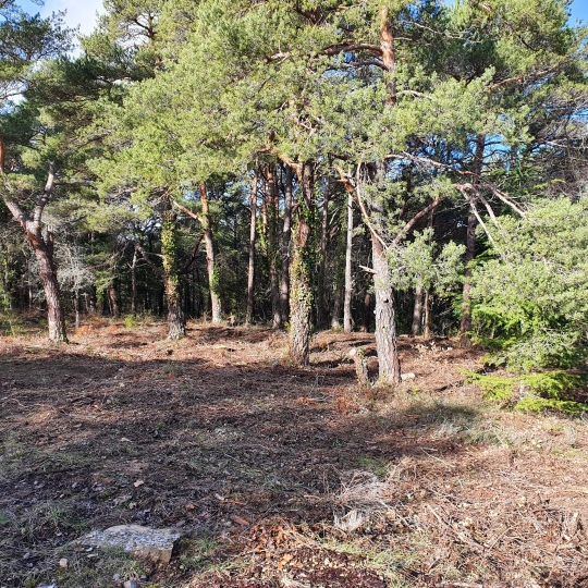  HCI IMMOBILIER : Ground | PLAN-D'AUPS-SAINTE-BAUME (83640) | 0 m2 | 145 000 € 