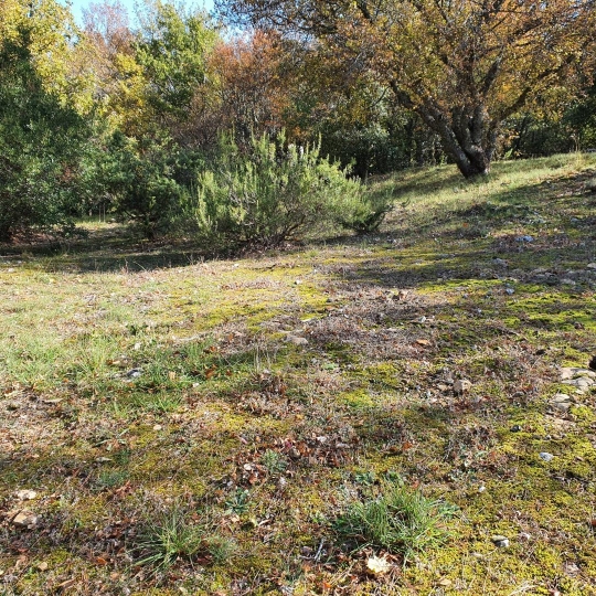 HCI IMMOBILIER : Terrain | PLAN-D'AUPS-SAINTE-BAUME (83640) | m2 | 150 000 € HCI IMMOBILIER : Terrain | PLAN-D'AUPS-SAINTE-BAUME (83640) | m2 | 150 000 €