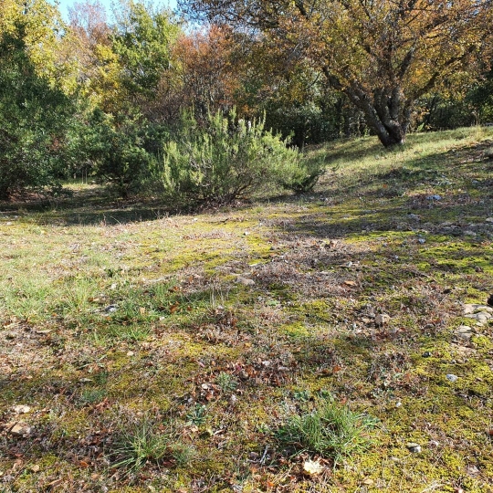  HCI IMMOBILIER : Terrain | PLAN-D'AUPS-SAINTE-BAUME (83640) | 0 m2 | 150 000 € 