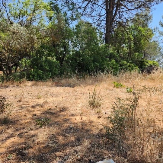 HCI IMMOBILIER : Terrain | SAINT-MAXIMIN-LA-SAINTE-BAUME (83470) | m2 | 200 000 € 