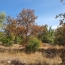  HCI IMMOBILIER : Terrain | PLAN-D'AUPS-SAINTE-BAUME (83640) | 0 m2 | 155 000 € 