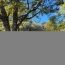  HCI IMMOBILIER : Maison / Villa | PLAN-D'AUPS-SAINTE-BAUME (83640) | 150 m2 | 442 000 € 