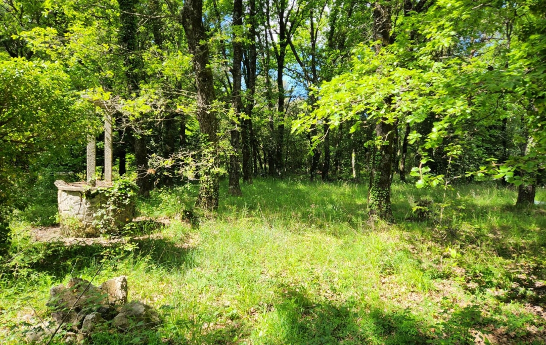 HCI IMMOBILIER : Maison / Villa | PLAN-D'AUPS-SAINTE-BAUME (83640) | 116 m2 | 402 000 € 