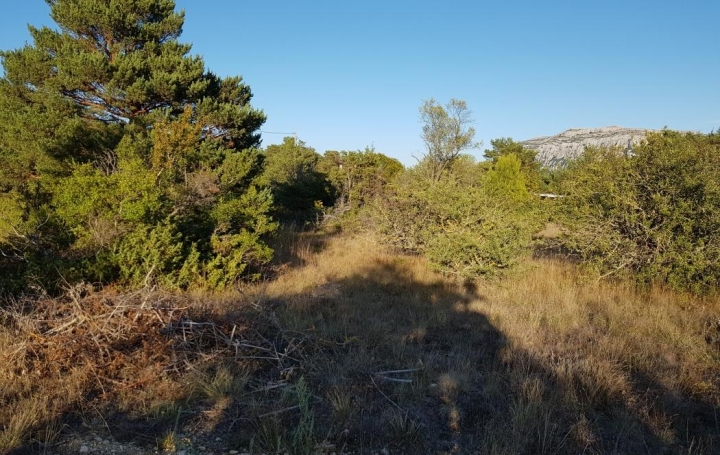 HCI IMMOBILIER : Terrain | PLAN-D'AUPS-SAINTE-BAUME (83640) | 0 m2 | 165 000 € 