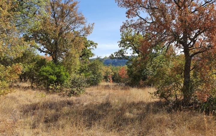 HCI IMMOBILIER : Terrain | PLAN-D'AUPS-SAINTE-BAUME (83640) | 0 m2 | 155 000 € 