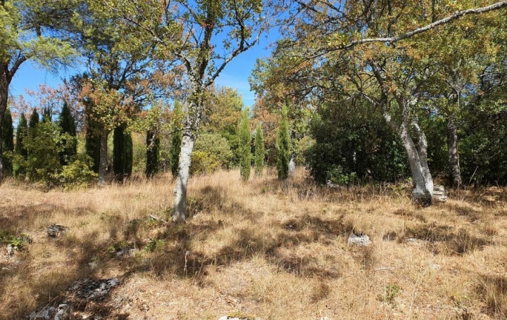 HCI IMMOBILIER : Terrain | PLAN-D'AUPS-SAINTE-BAUME (83640) | 0 m2 | 155 000 € 