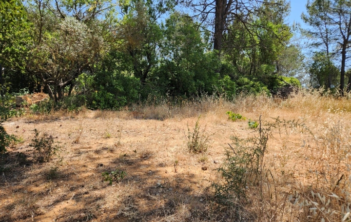 Terrain   SAINT-MAXIMIN-LA-SAINTE-BAUME   200 000 € 